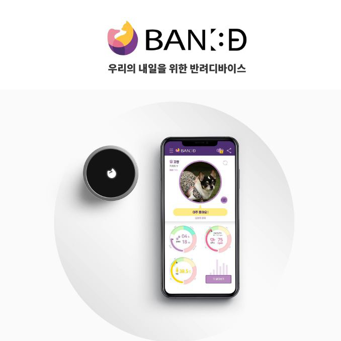 반디피트